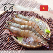 越南海虎蝦 5隻 (500G)包