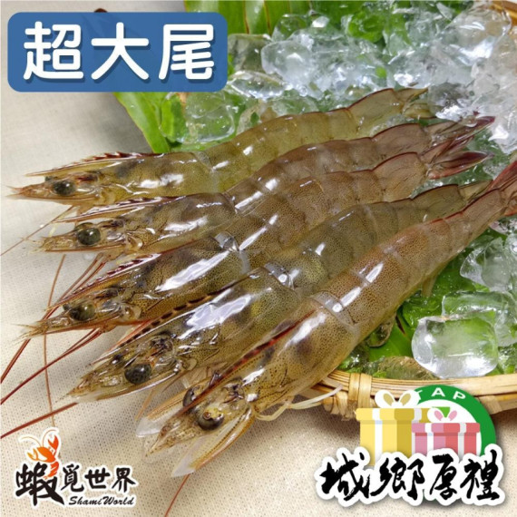 特大尾-活凍生鮮白蝦-約15-17尾/300g